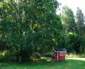 images/Schweden/Schweden 2025/DSC02444.jpg